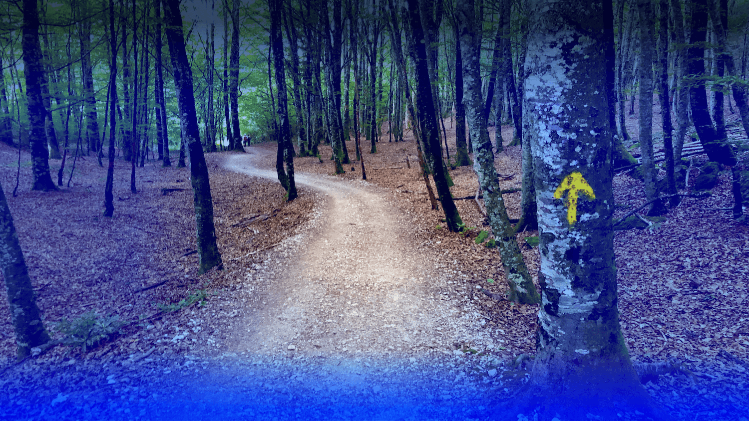 Header_Website_background2.png
