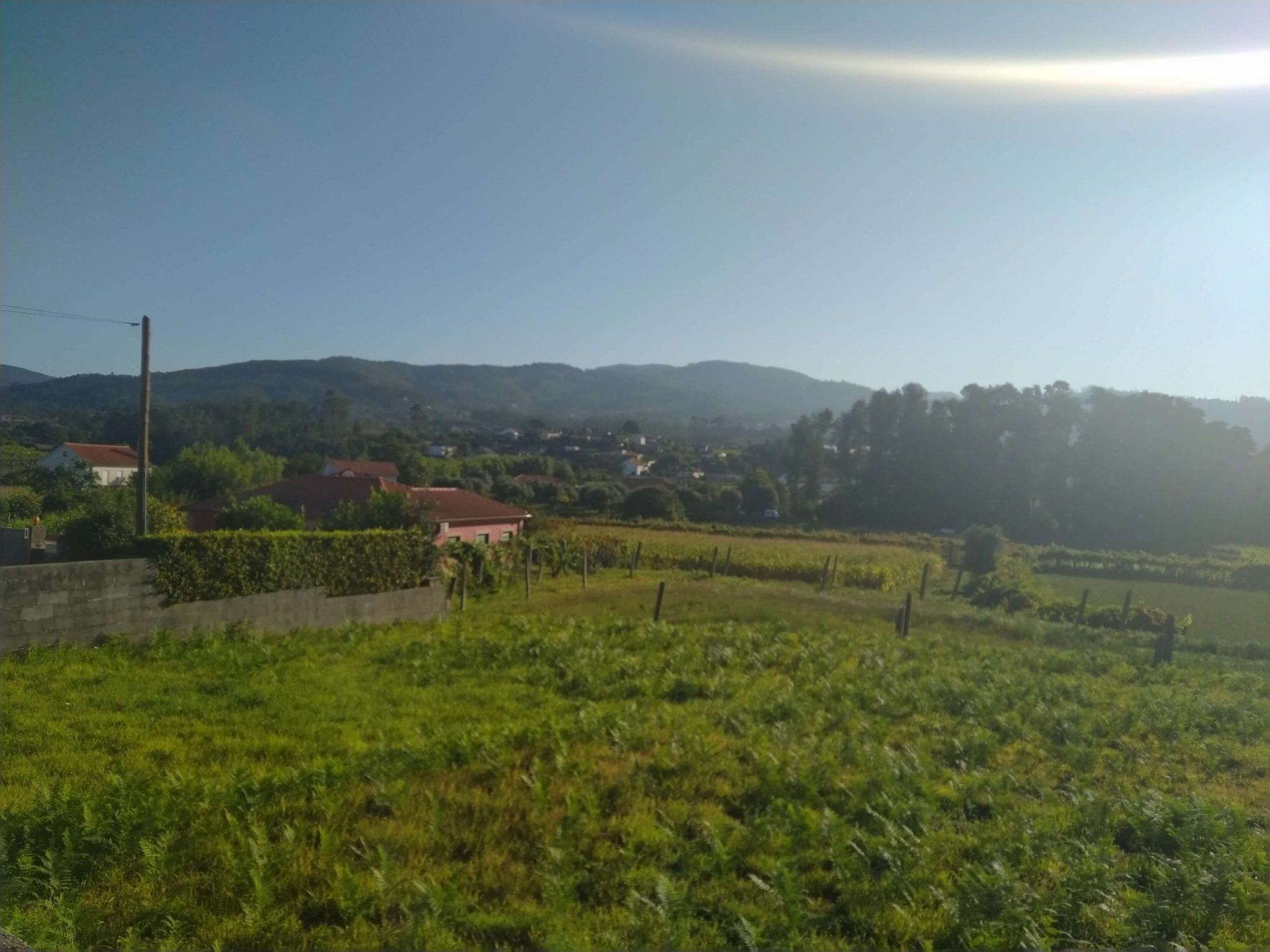 Auf dem Weg in die Berge