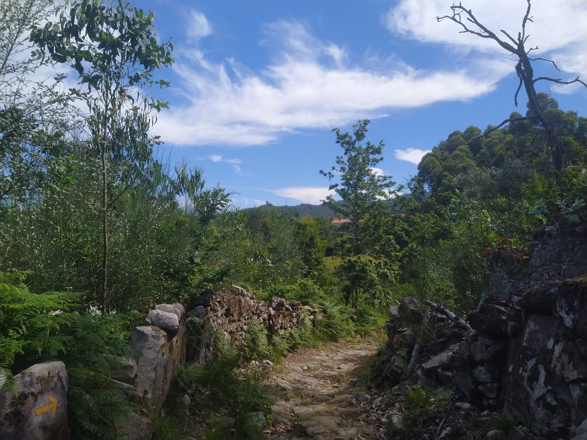 Antiga estrada Romana