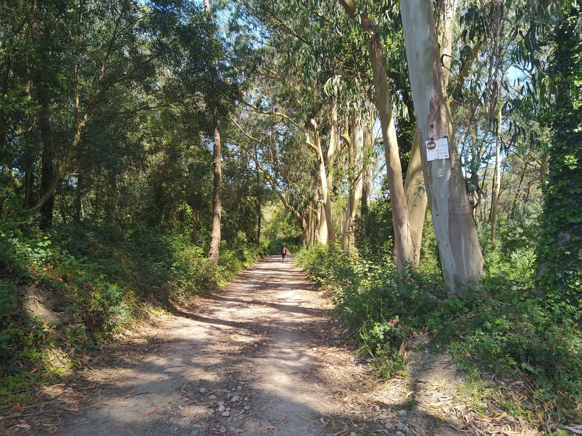 Caminho no caminho