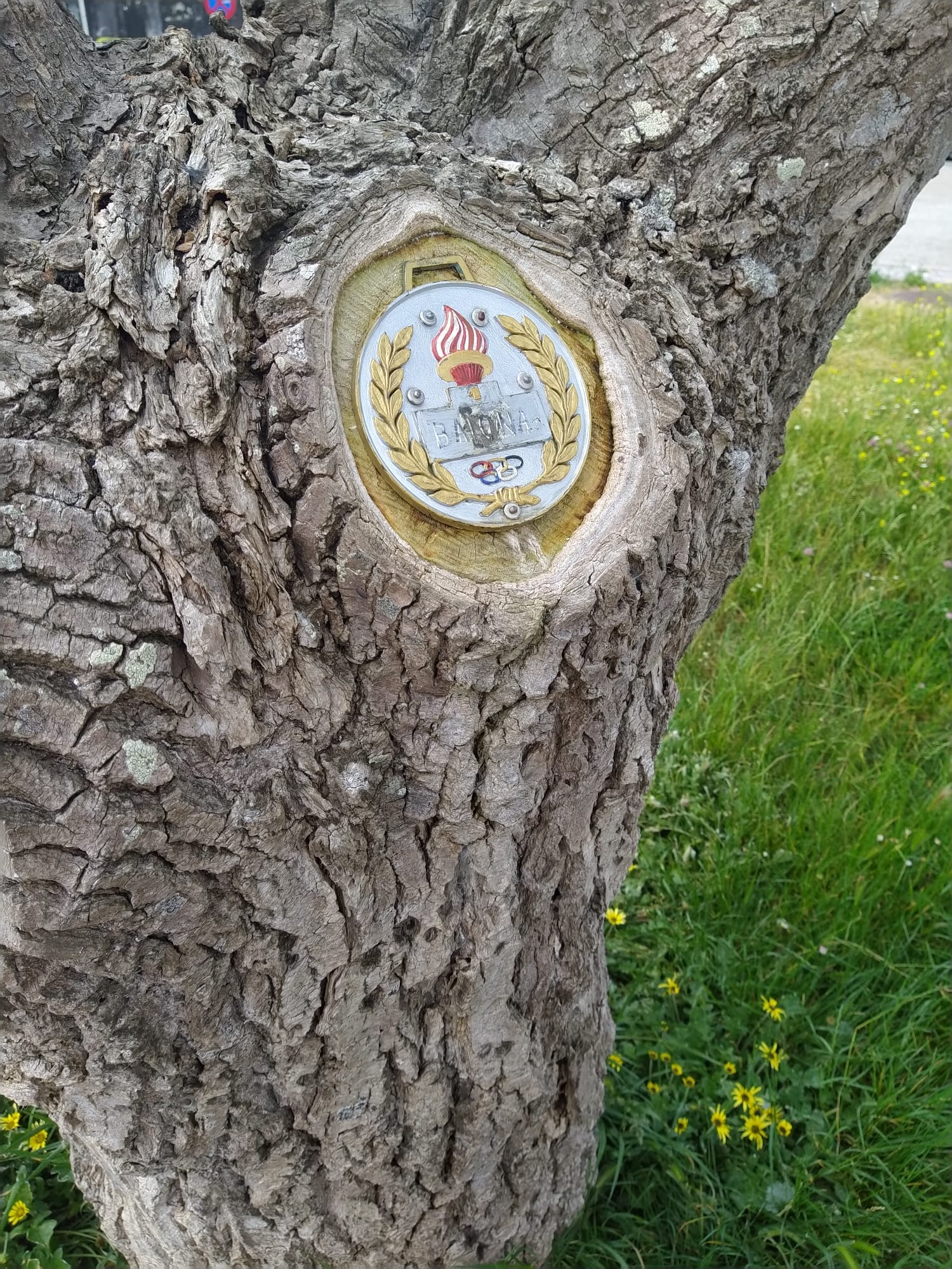 Medalha olímpica