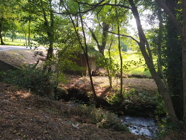 Petit ruisseau