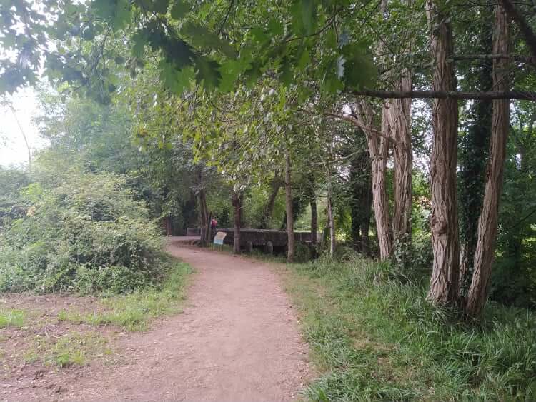 Um dos muitos bosques