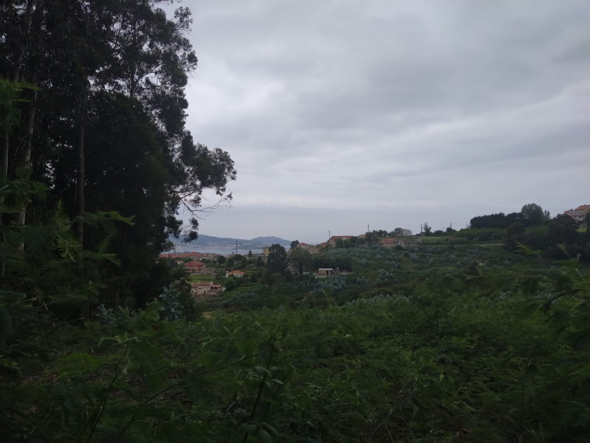 Verde sem parar no caminho