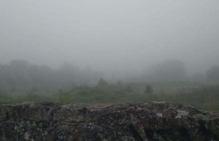 Brouillard sur la route