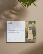 Sessão de Planeamento Personalizado do Caminho de Santiago - Image 2