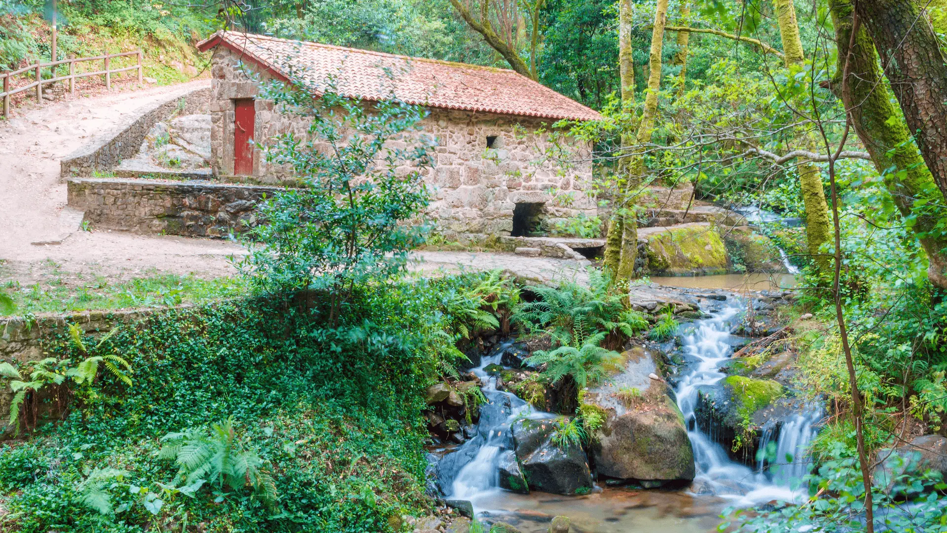 bouza mill, armenteira