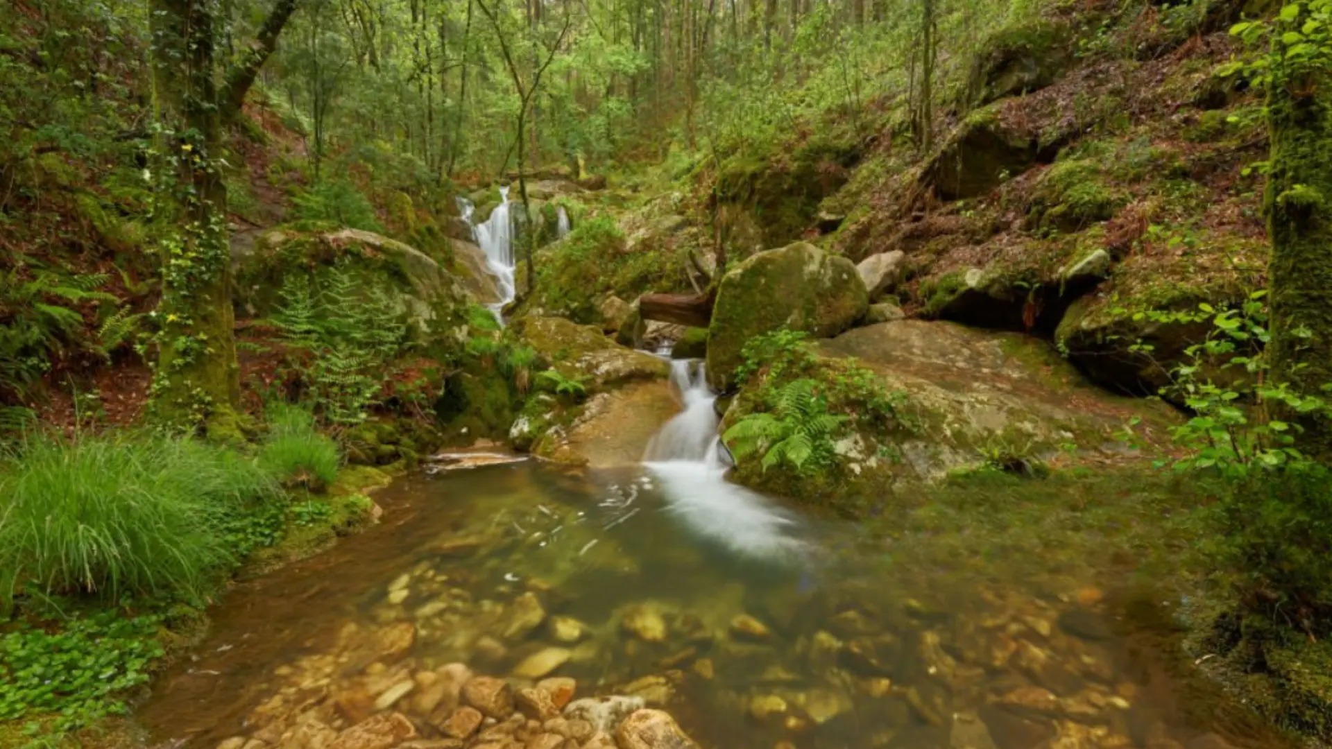 rock and water route